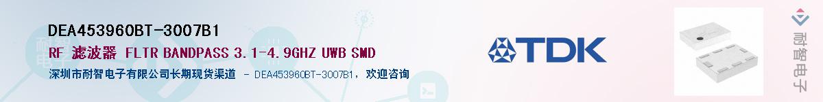 DEA453960BT-3007B1Ӧ-ǵ