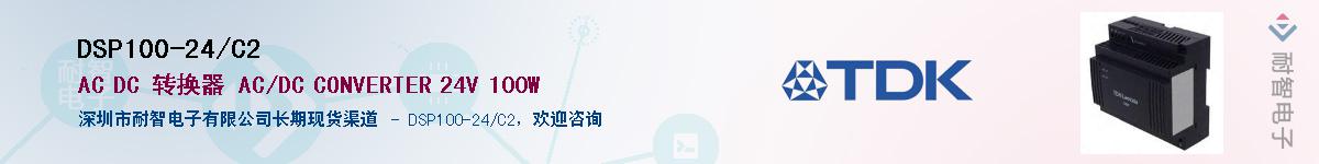 DSP100-24/C2Ӧ-ǵ