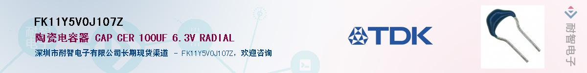 FK11Y5V0J107ZӦ-ǵ