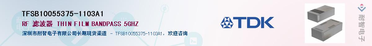 TFSB10055375-1103A1��Ӧ��-���ǵ���