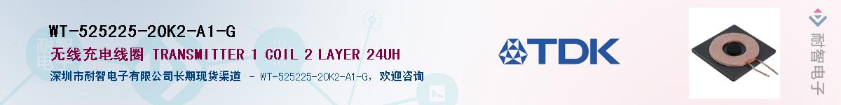 WT-525225-20K2-A1-G��Ӧ��-���ǵ���