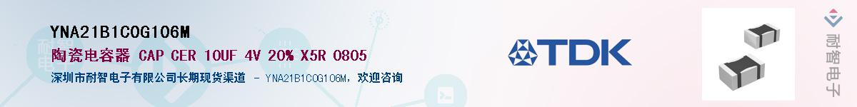 YNA21B1C0G106MӦ-ǵ