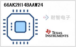 66AK2H14BAAW24