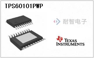 TPS60101PWP