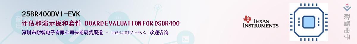 25BR400DVI-EVK��Ӧ��-���ǵ���