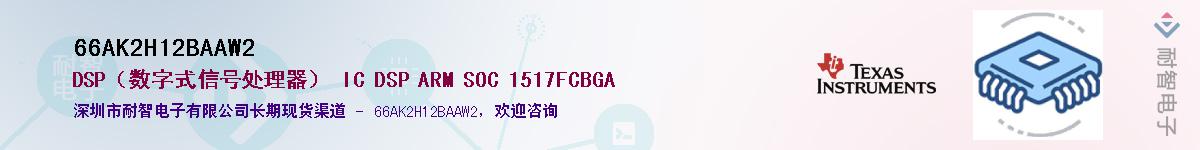 66AK2H12BAAW2��Ӧ��-���ǵ���