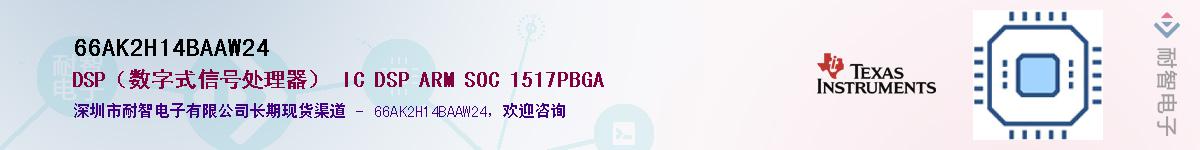 66AK2H14BAAW24��Ӧ��-���ǵ���