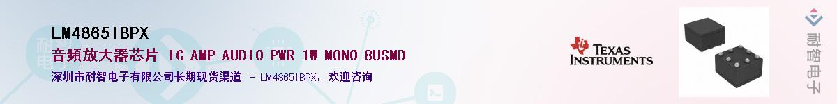 LM4865IBPX��Ӧ��-���ǵ���