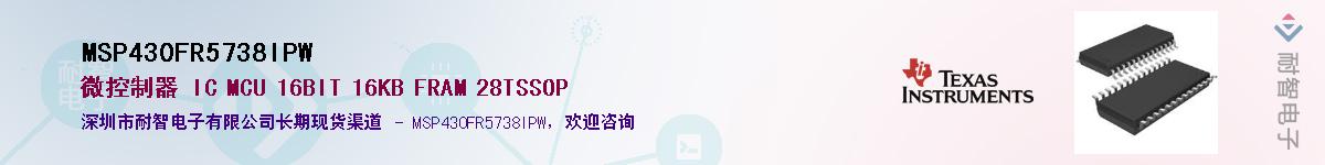 MSP430FR5738IPW��Ӧ��-���ǵ���