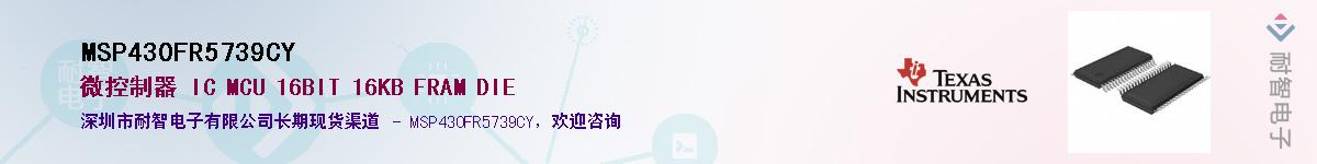 MSP430FR5739CY��Ӧ��-���ǵ���