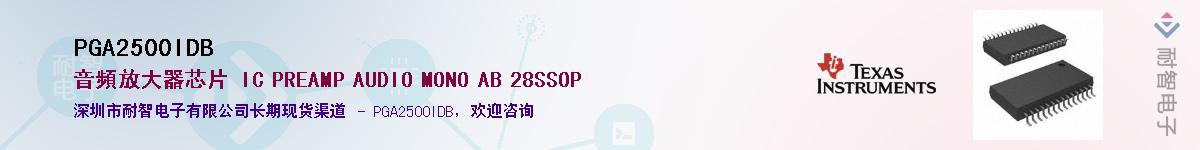 PGA2500IDBӦ-ǵ