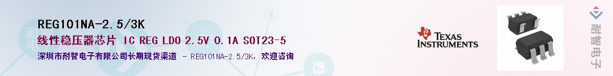 REG101NA-2.5/3KӦ-ǵ