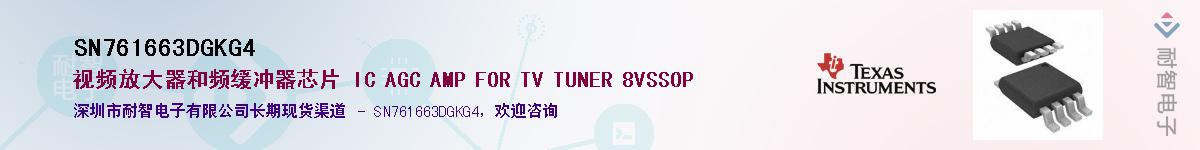 SN761663DGKG4��Ӧ��-���ǵ���
