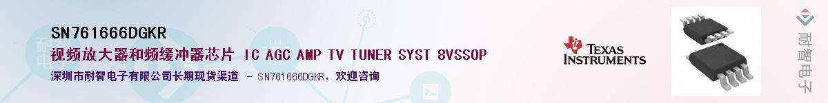 SN761666DGKR��Ӧ��-���ǵ���