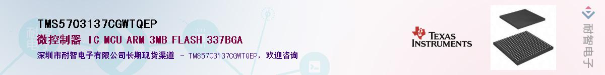 TMS5703137CGWTQEPӦ-ǵ
