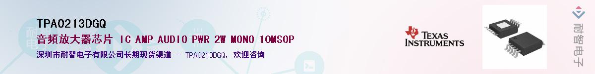 TPA0213DGQӦ-ǵ