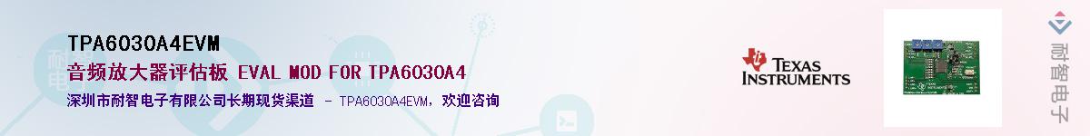TPA6030A4EVM��Ӧ��-���ǵ���
