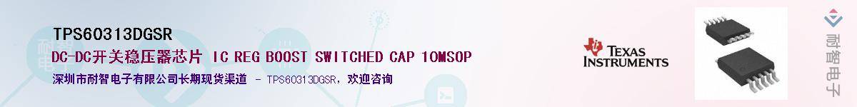 TPS60313DGSRӦ-ǵ