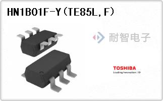 HN1B01F-Y(TE85L,F)