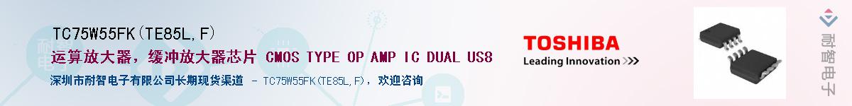 TC75W55FK(TE85L,F)Ӧ-ǵ