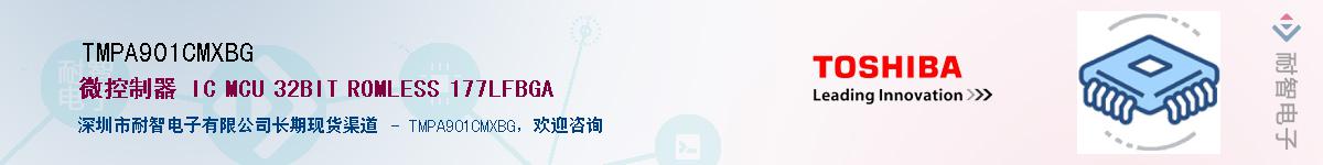 TMPA901CMXBGӦ-ǵ