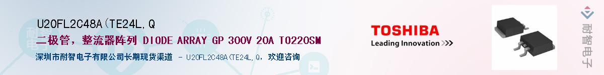 U20FL2C48A(TE24L,QӦ-ǵ