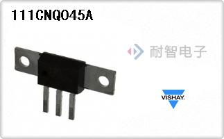 111CNQ045A