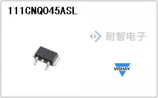 111CNQ045ASL