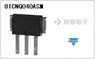 81CNQ040ASM