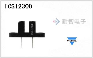 TCST2300