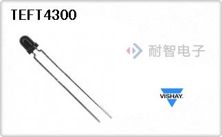TEFT4300
