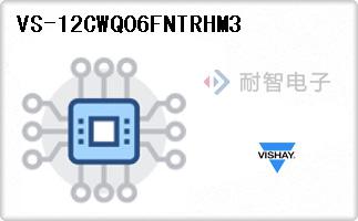 VS-12CWQ06FNTRHM3