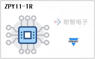 ZPY11-TR����
