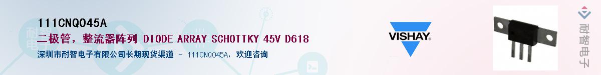 111CNQ045A��Ӧ��-���ǵ���