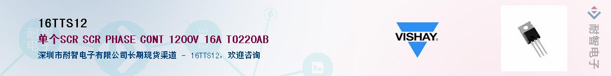 16TTS12��Ӧ��-���ǵ���