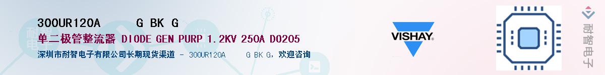 300UR120A     G BK G��Ӧ��-���ǵ���