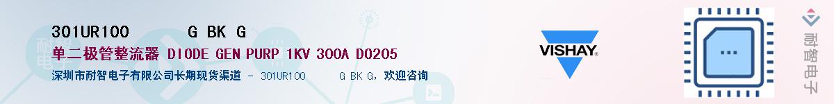 301UR100      G BK G��Ӧ��-���ǵ���