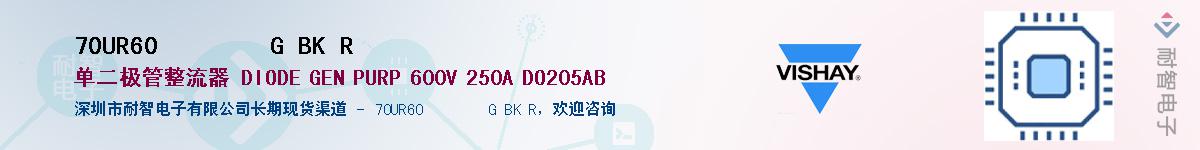 70UR60        G BK R��Ӧ��-���ǵ���