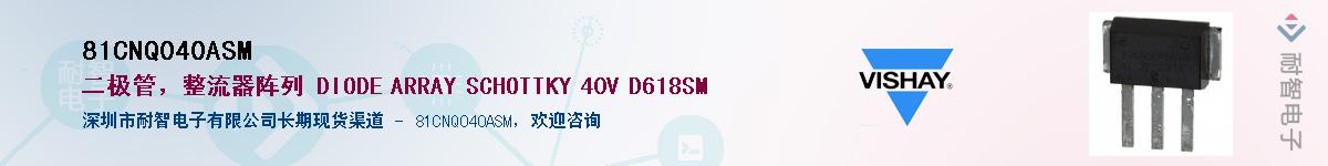 81CNQ040ASM��Ӧ��-���ǵ���