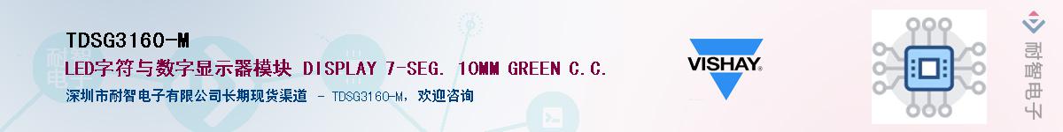 TDSG3160-MӦ-ǵ