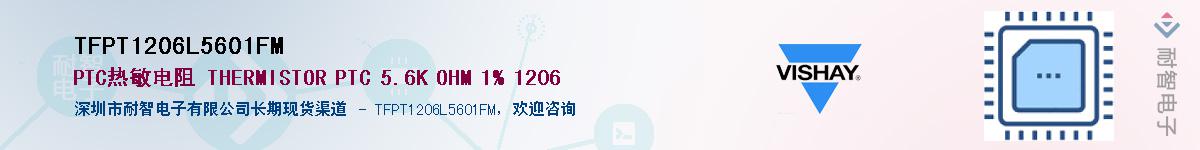 TFPT1206L5601FM��Ӧ��-���ǵ���