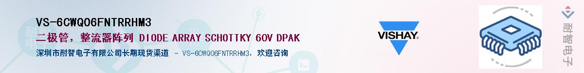 VS-6CWQ06FNTRRHM3��Ӧ��-���ǵ���