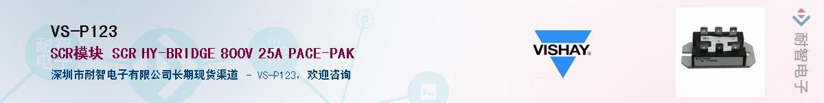 VS-P123��Ӧ��-���ǵ���