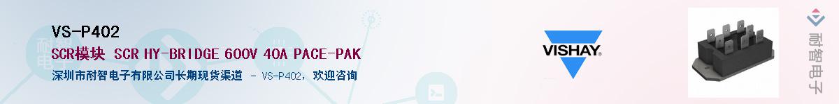 VS-P402��Ӧ��-���ǵ���