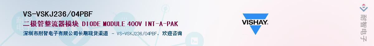 VS-VSKJ236/04PBFӦ-ǵ