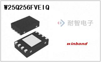 W25Q256FVEIQ