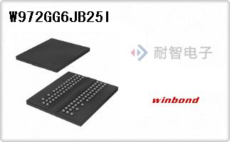 W972GG6JB25I