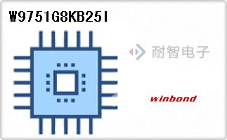 W9751G8KB25I