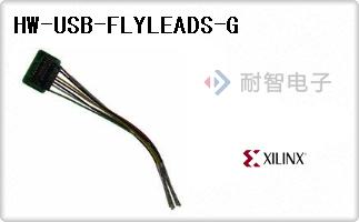 HW-USB-FLYLEADS-G