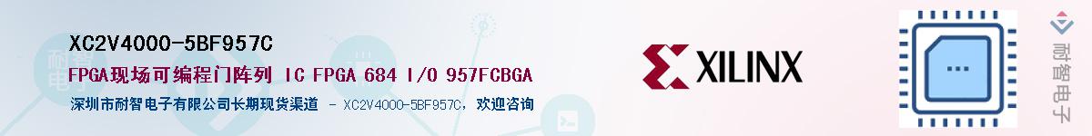 XC2V4000-5BF957CӦ-ǵ